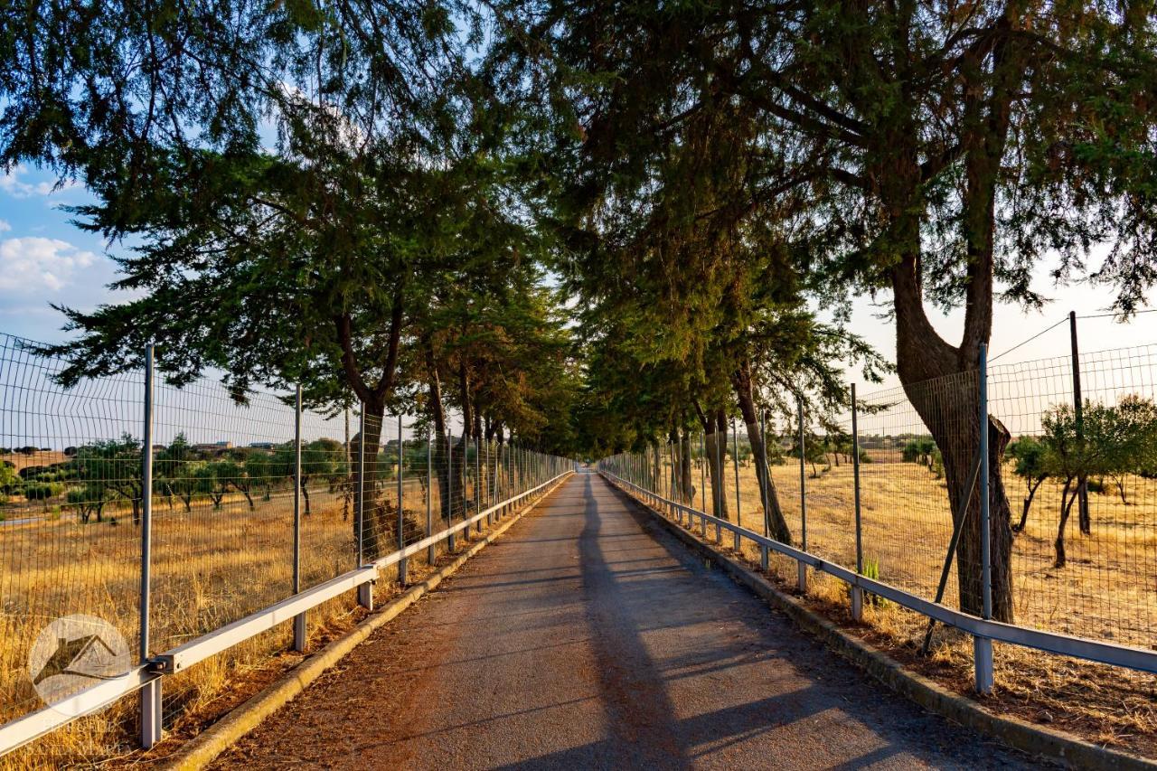 Alojamento Local Santa Marta Zebreira Экстерьер фото
